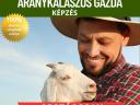 Usposabljanje rejcev zlatih ribic na nacionalni ravni
