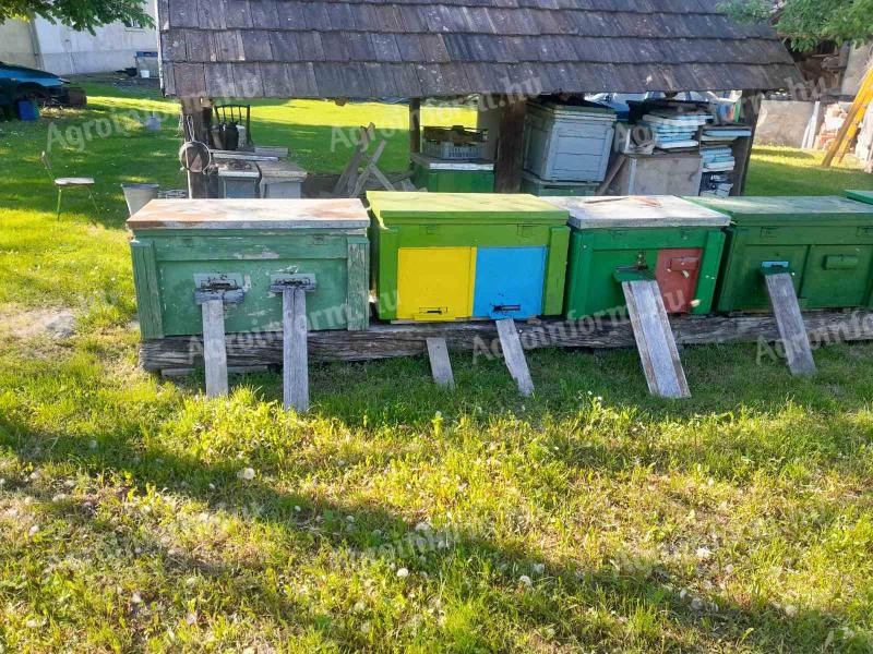 Pčelinje zajednice na okviru Nagyboconád