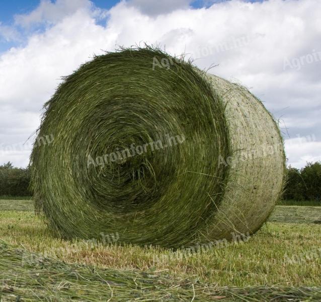 Alfalfa bale for sale (alfalfa bale, hay, fodder bale, testicle)